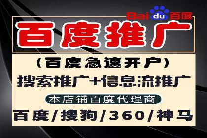 成功案例：SEM外包公司助力企业实现低成本广告